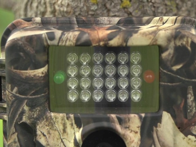 Skout%u2122 7.0MP Infrared Digital Video / Scouting Trail Camera - image 5 from the video